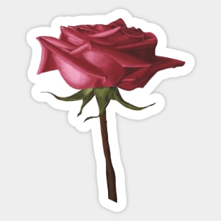 Kiss from a Rose-(There's a Face in It) Sticker